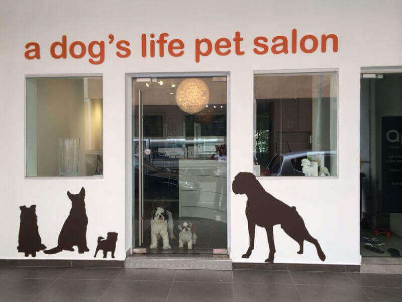 (Sold) Urgent Takeover: Hip And Trendy Pet Salon With Strong Regular Customer Base