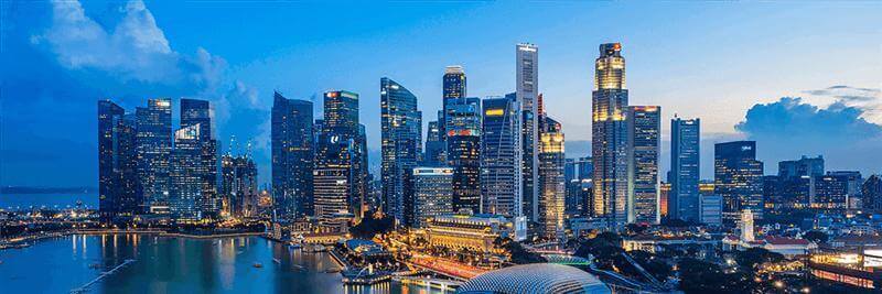 Singapore Premier Hotels for Sale