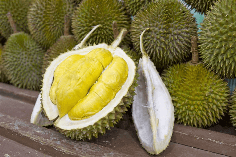 (Expired)PENANG Balik Pulau durian farm offer! Below market price! 15acres !