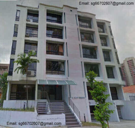 (Sold) Freehold Property At Balestier Road For Sale (Prime Location)