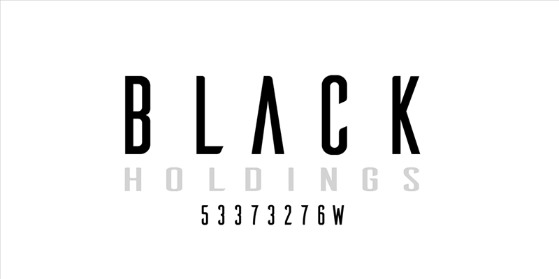(Expired)BLACK HOLDINGS looking for Angel Investors/Partners