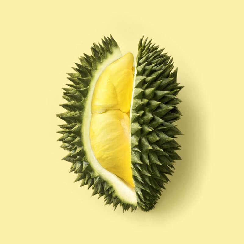 (Expired)Start Your Own Profitable Durian Business