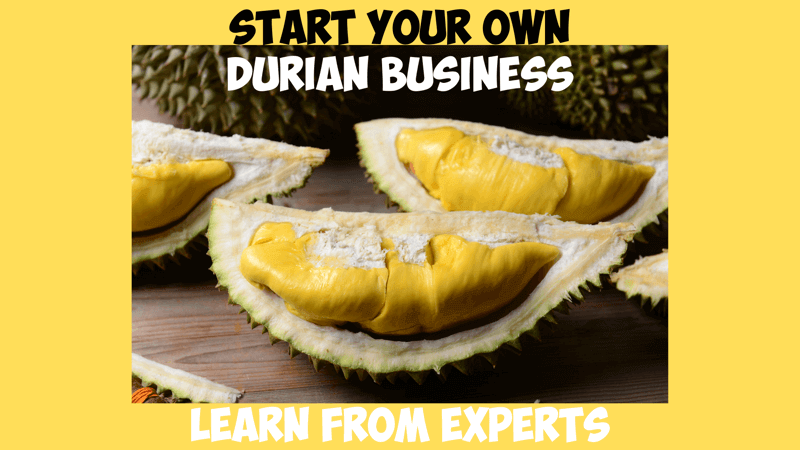 (Expired)Starting Your Own Durian Business? Learn From The Experts!