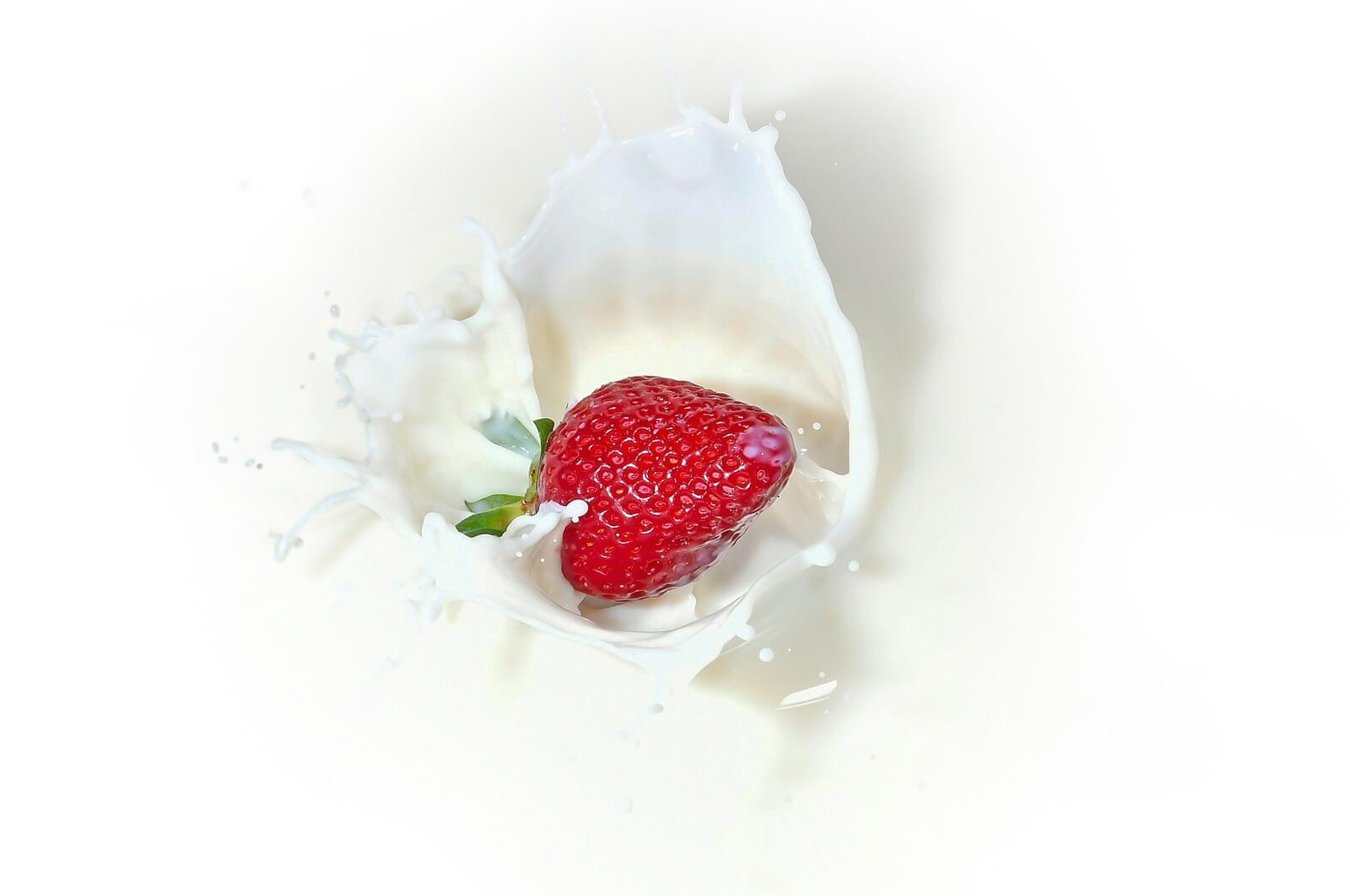 (Sold) Uniquely Created Yogurt Making, Distribution Cum Retail - Selling Below Asset Value 97498301