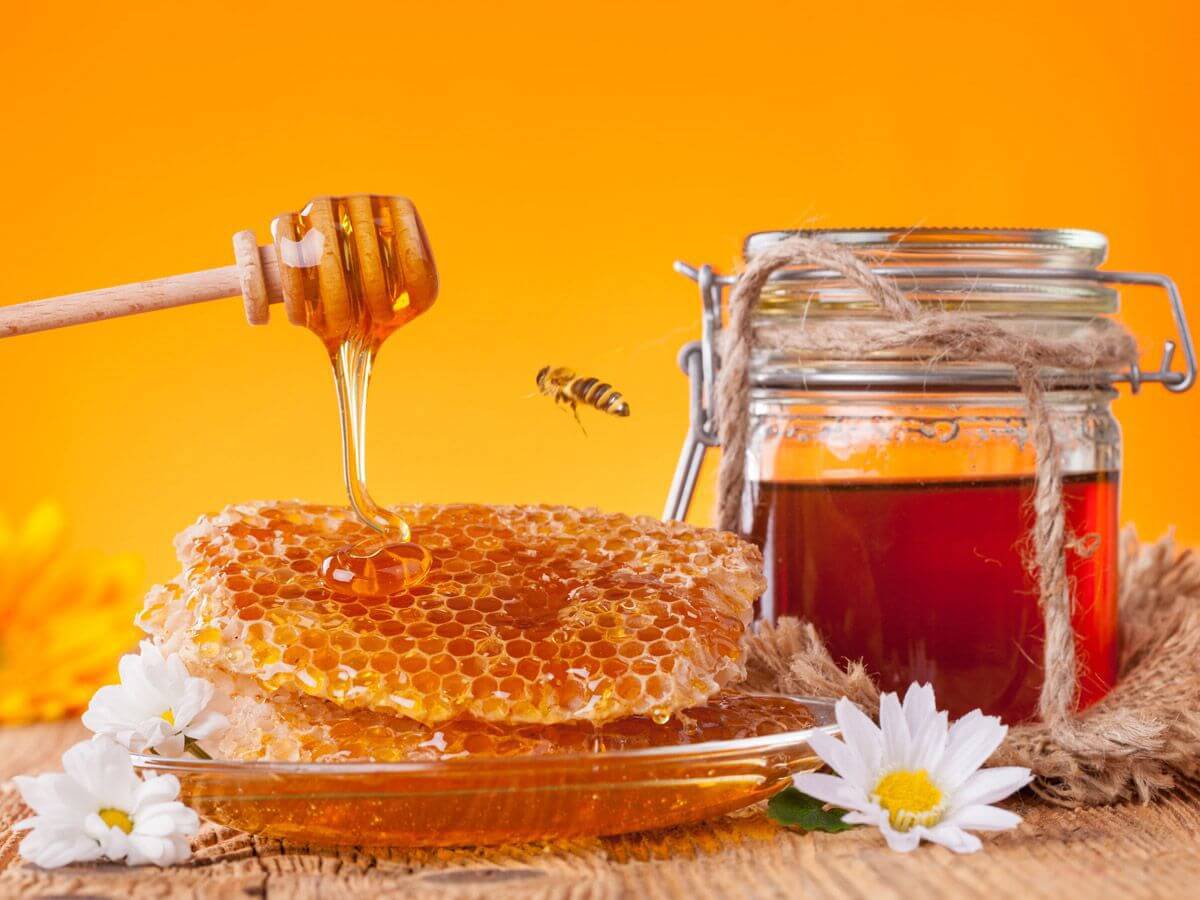 Profit From Nature's Sweetness: Prime Business Opportunity In The Honey Industry!