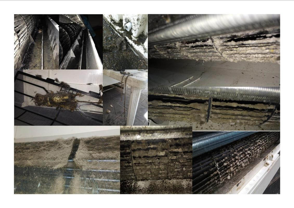 HYDROKLEEN - DUAL SUNSHINE COAST FRANCHISE TERRITORIES