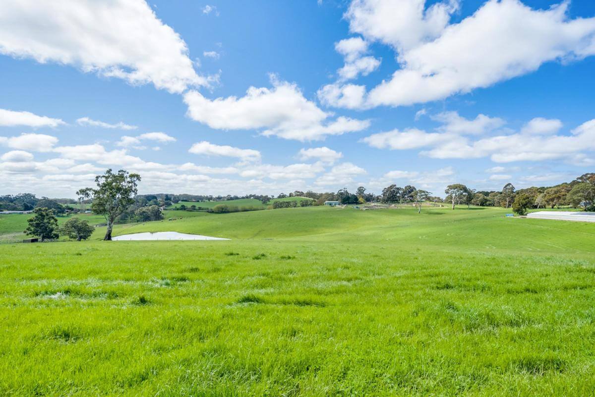 Urban life with rural feeling