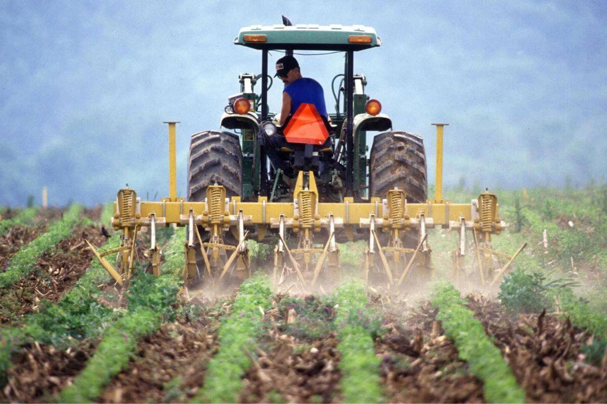 Freehold Agricultural Supplies  Toowoomba Region, Excellent Reputation.