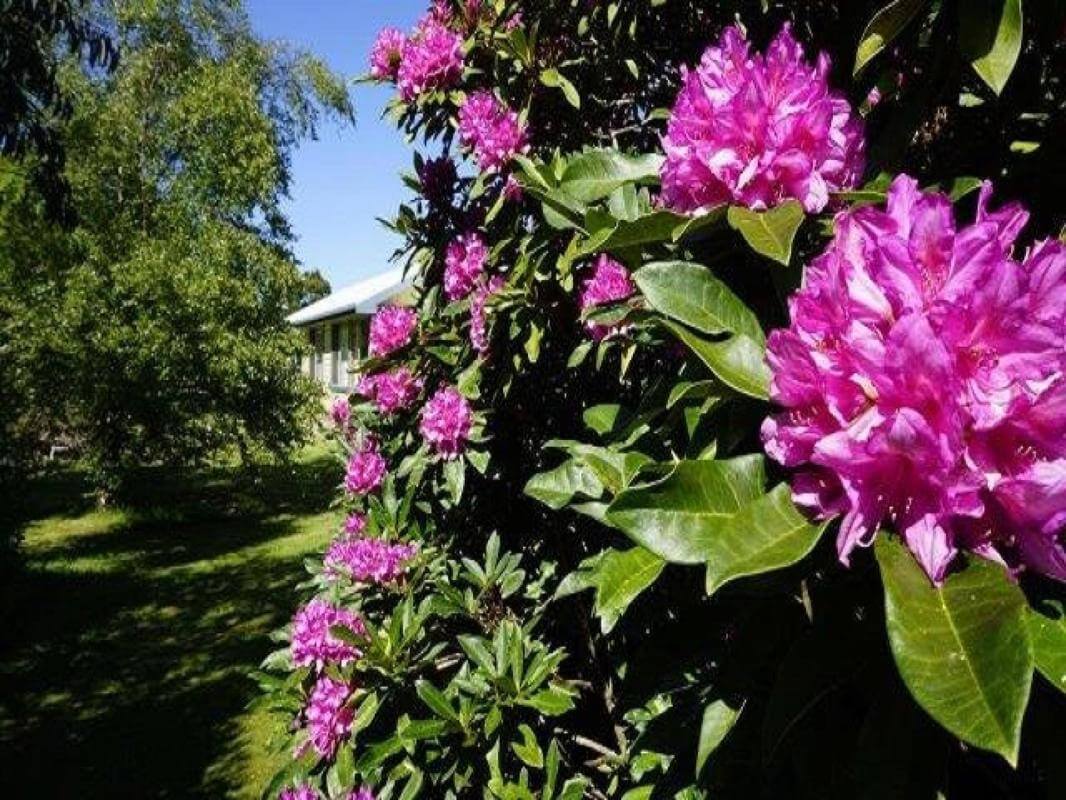 When Value Counts 23 Self-Contained Apartments t/o $800K 9 Titles $2.45m 2023 net $367,000