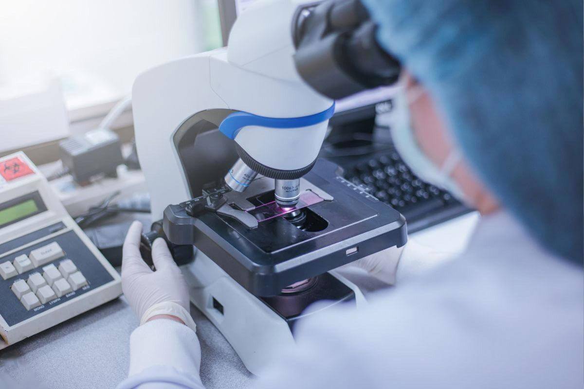 Rare Opportunity  Contract Research Organisation  Brisbane.