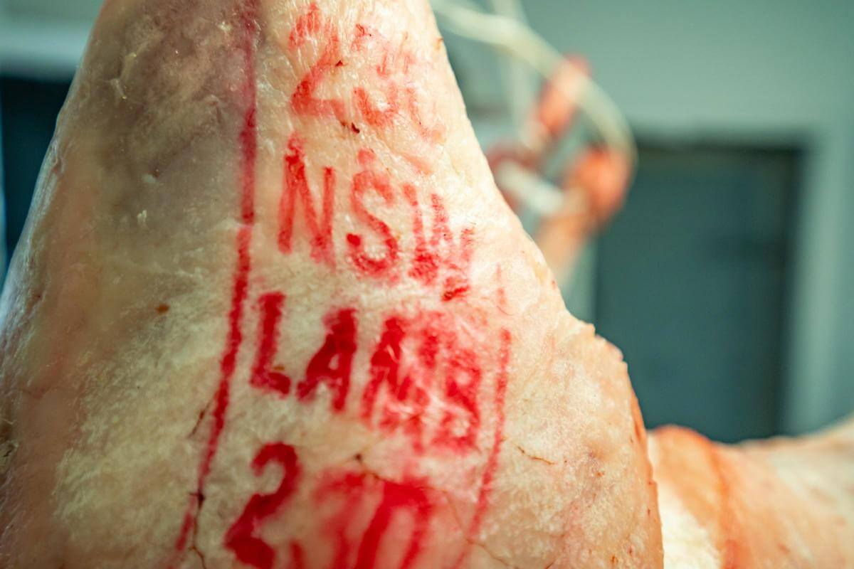 BUTCHER BUSINESS FOR SALE, INC PREMISES & DELIVERY VEHICLE