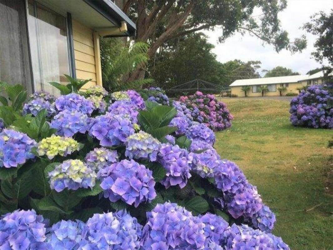 10 x 2 Bdr & 1x 1Bdr Self-Contained Fully Furnished Villas Incredible Value offers over $1,095,000