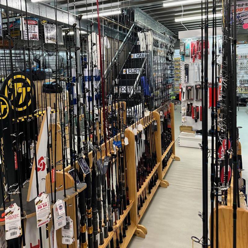 Firearms and Fishing business. Cash Cow.  Big NET profit.