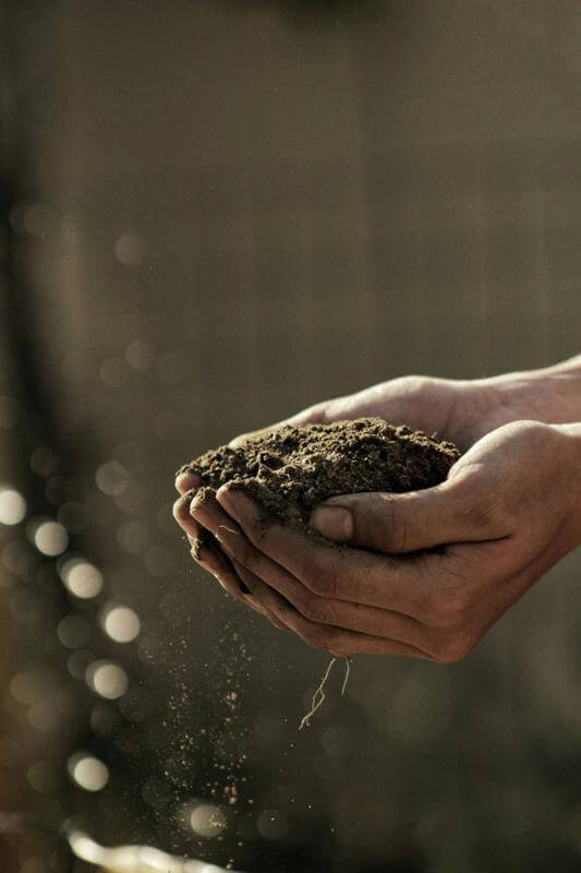 Online Organic Grocery Market