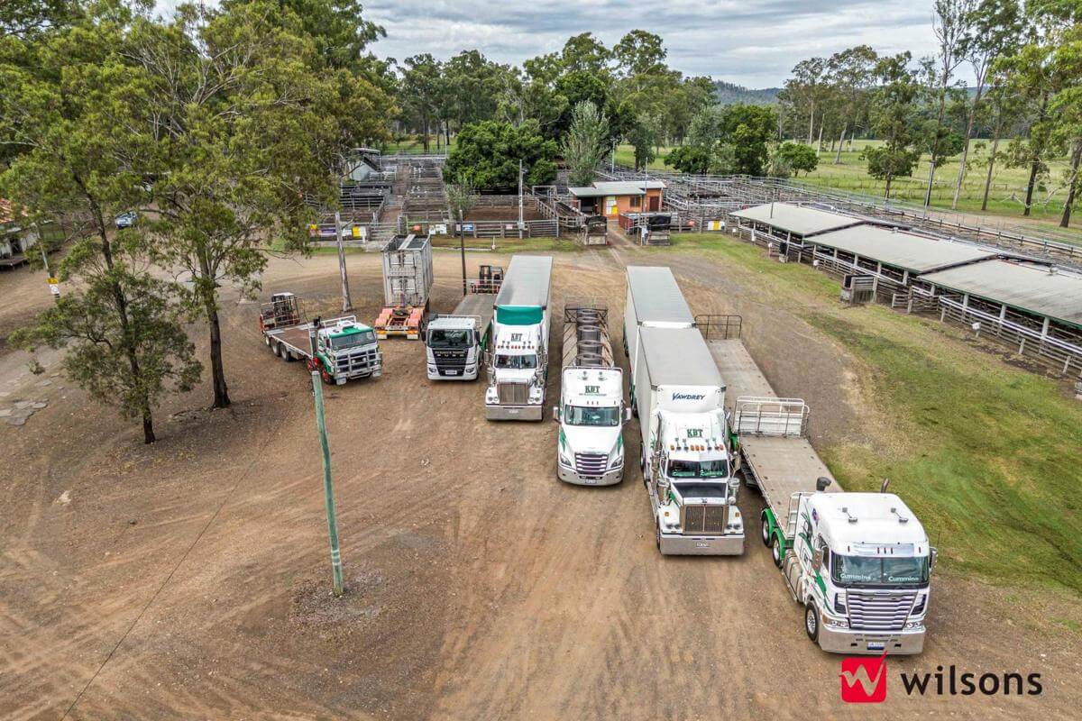 Thriving Transport Business