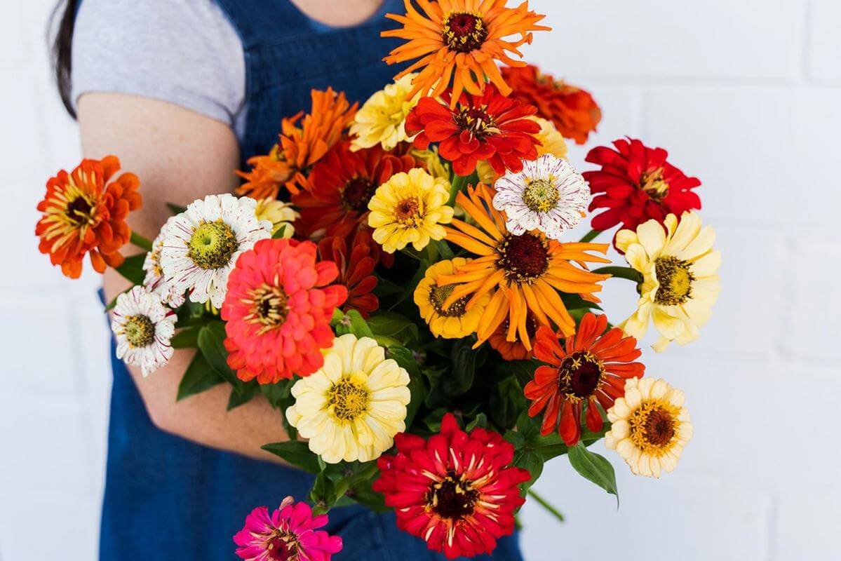 Netting $60K Profit Thriving, Profitable Florist  and Gift Hamper Business