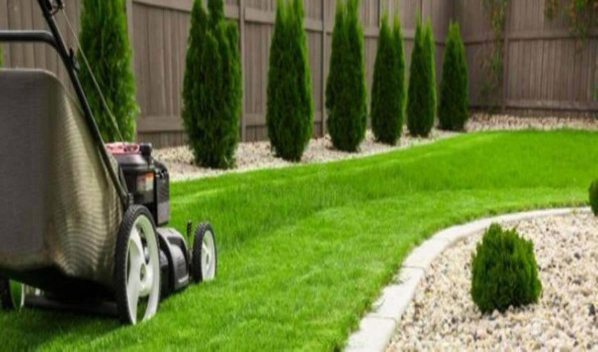 Leading Mower Retail Sales/Service Business. Run Under Management