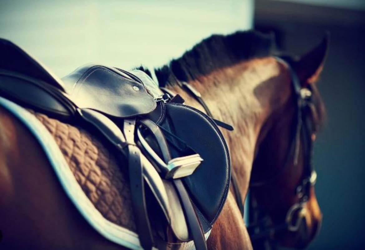 MASSIVE PRICE DROP Retail Produce & Farm/Rural Supplies, Under Management, Mid-North Coast