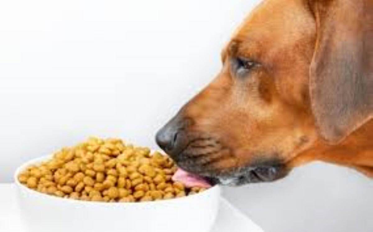 MASSIVE PRICE DROP Retail Produce & Farm/Rural Supplies, Under Management, Mid-North Coast