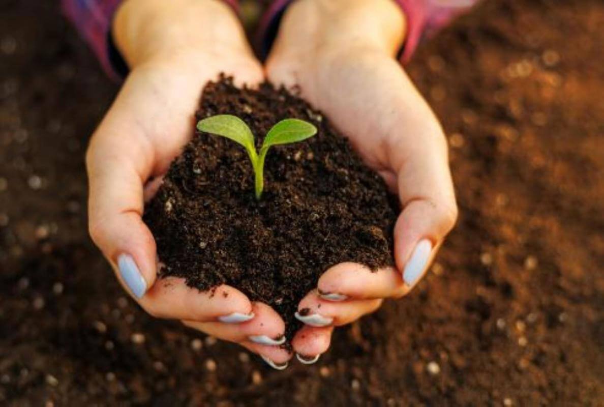 MASSIVE PRICE DROP Retail Produce & Farm/Rural Supplies, Under Management, Mid-North Coast