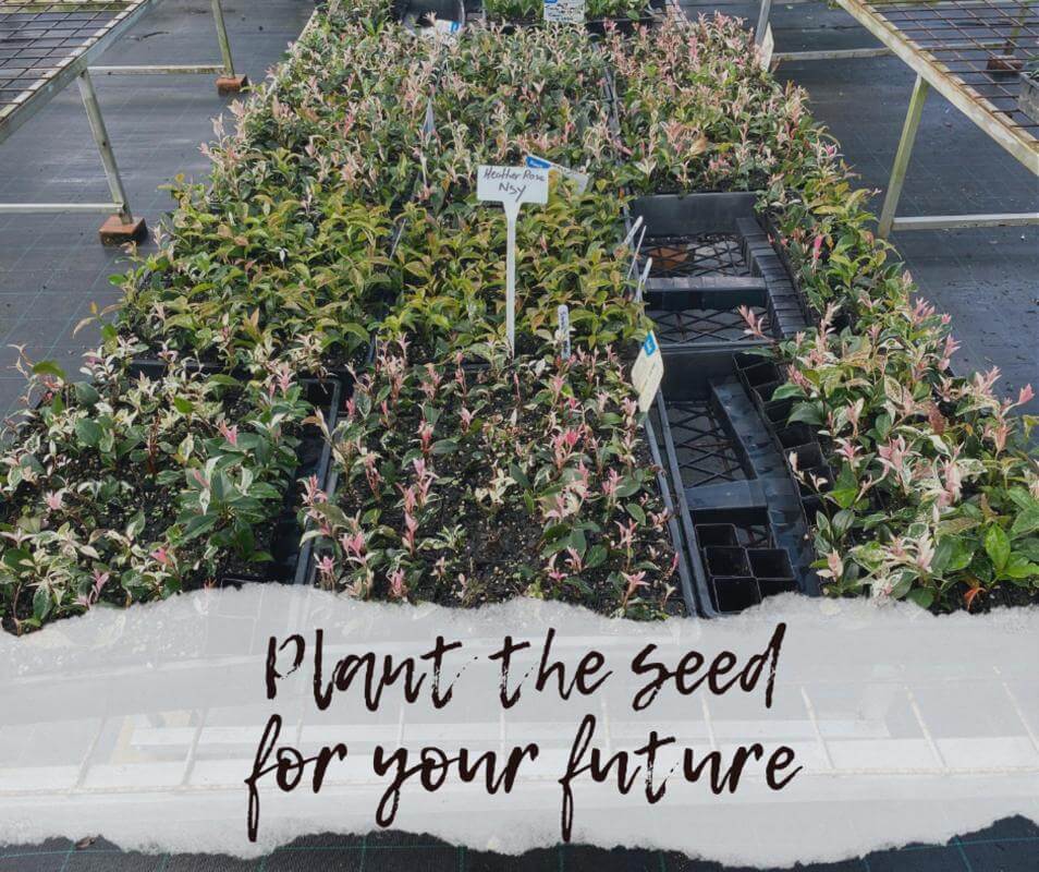 Plant the seed for your future