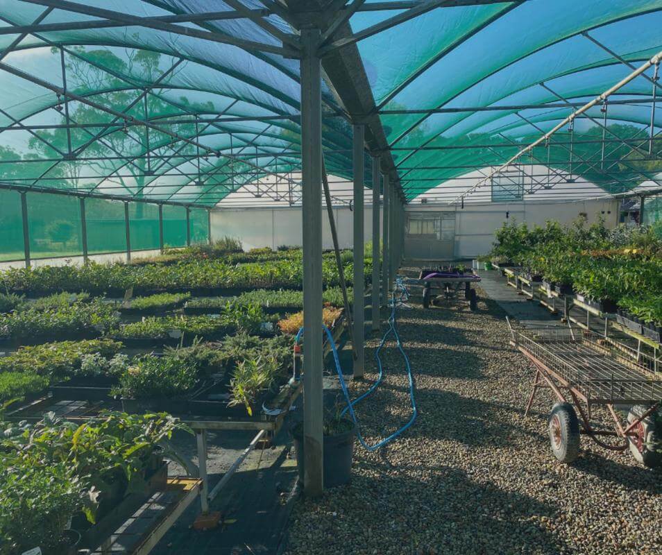 Plant the seed for your future