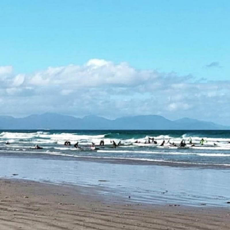 SCHOOL CAMP, CONFERENCE, EDUCATIONAL, GROUP ACCOMMODATION