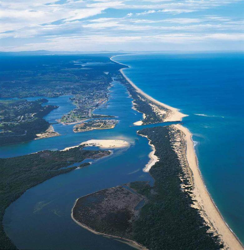 Millions of dollars in this Business Plan