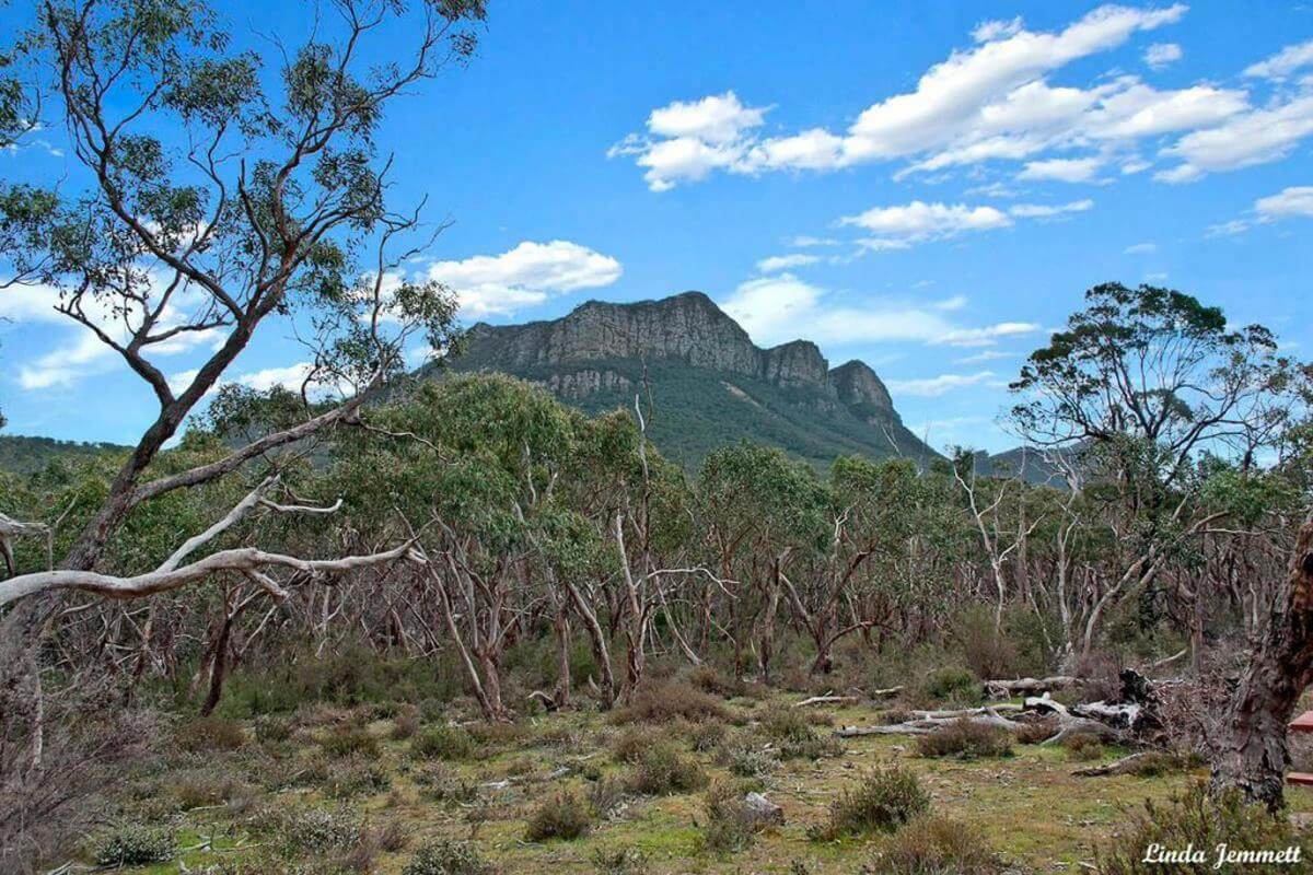 GROUP ACCOMMODATION FREEHOLD AND BUSINESS