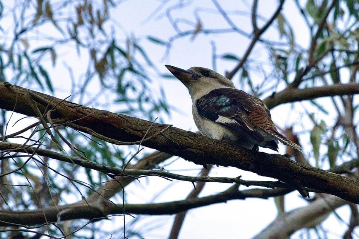 GROUP ACCOMMODATION FREEHOLD AND BUSINESS