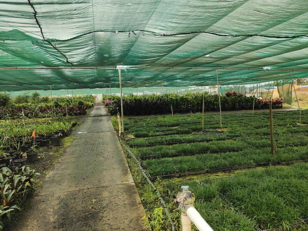 Leased  Nursery and spa supplies. Wholesale and Retail with 18.5 Acres and 3 bedroom home and pool