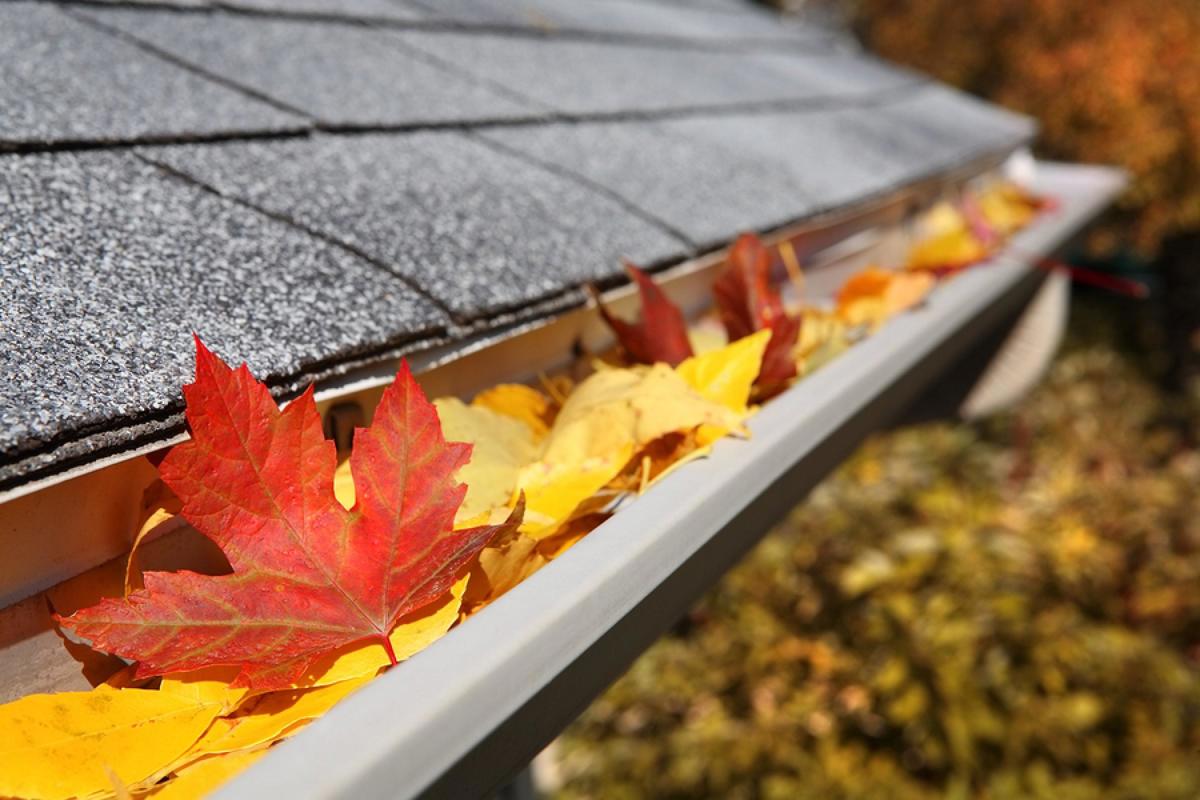 Highly Profitable Gutter Cleaning Business