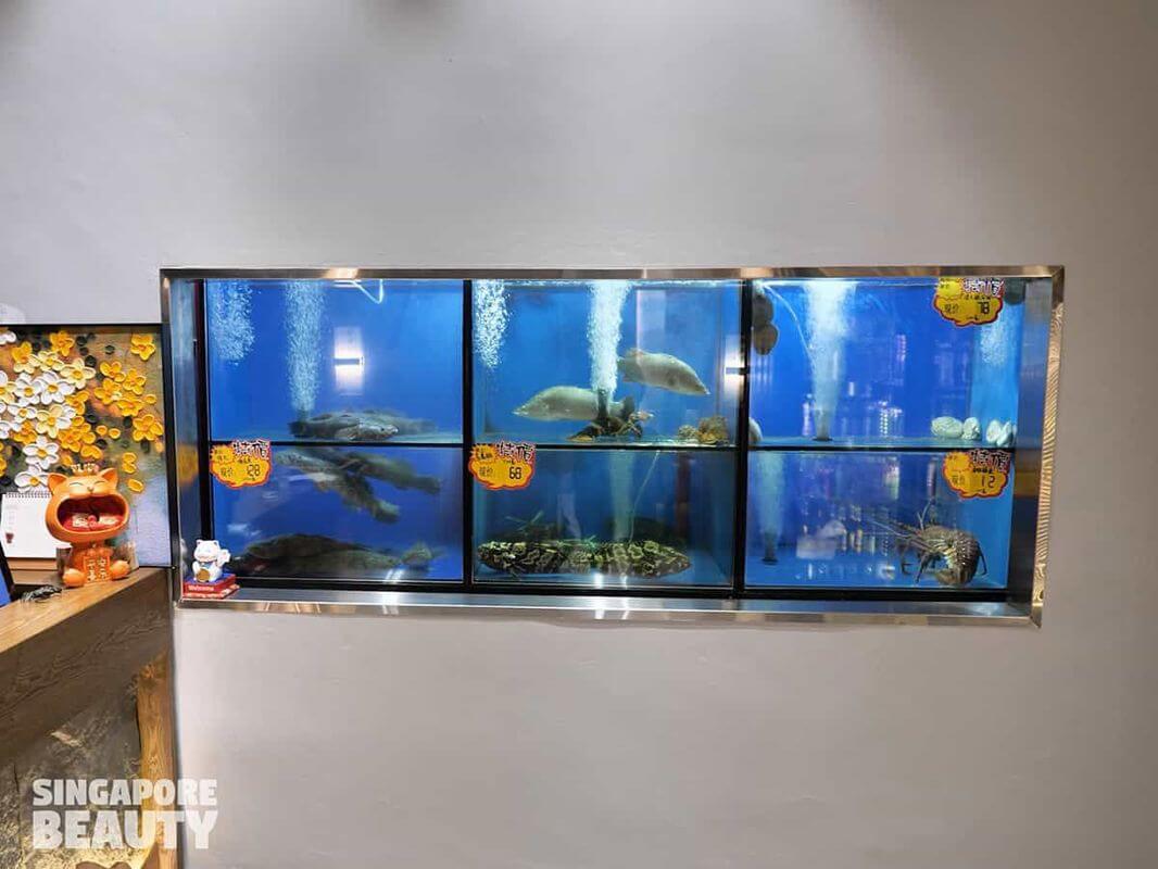 “Established, High-Traffic Restaurant With Proven Earnings”