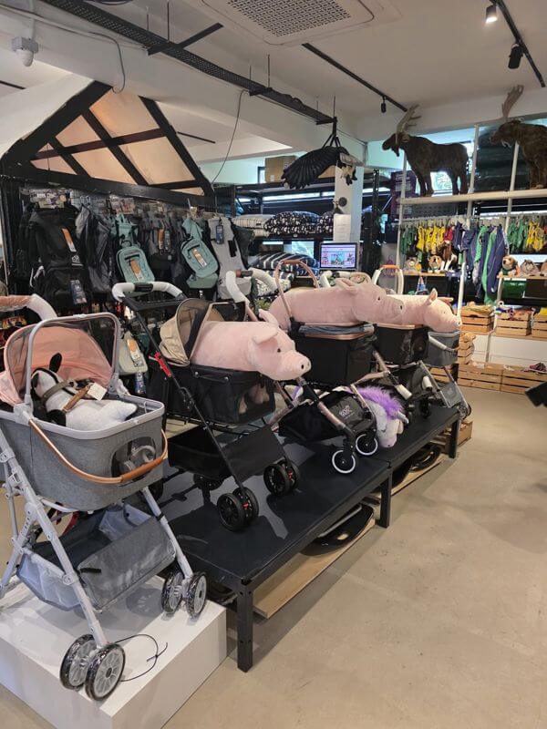 Profitable Business And Well Established Brand In Singapore