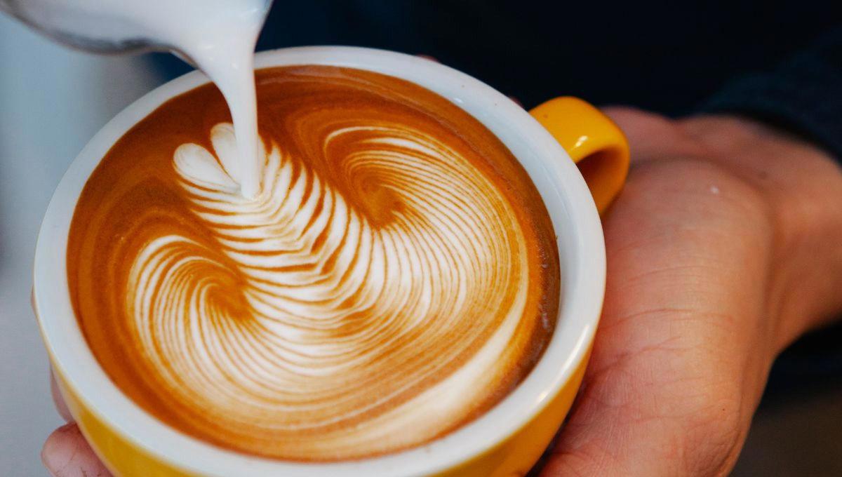Five Day Franchise Cafe in University & Technology Hub for Sale Adelaide Southern Suburb