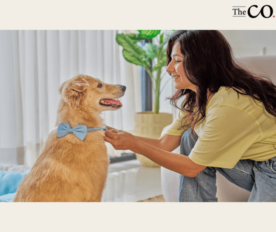 Pet Daycare & Grooming Business For Sale In The East