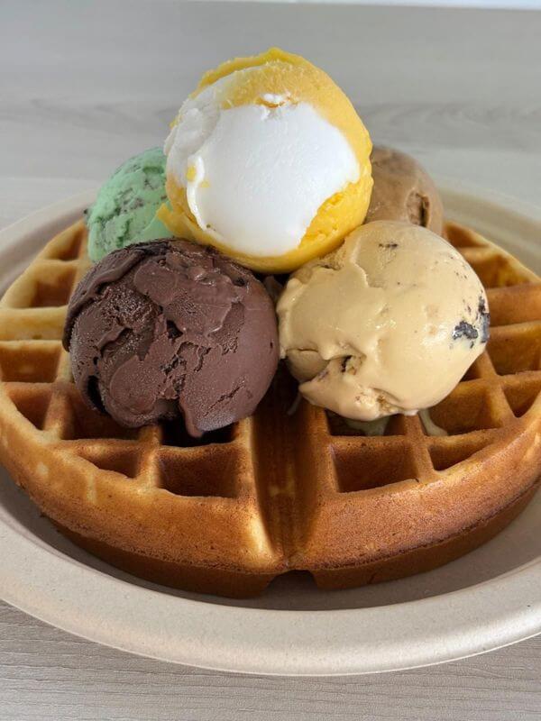 Artisanal Gelato, Ice-cream, Bakes and Coffee cafe for sale. 