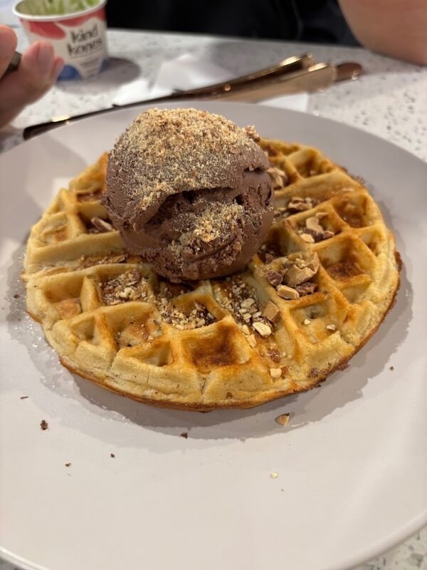 For Sale: Premium Vegan Ice-Cream Franchise In Prime Orchard-Area Mall