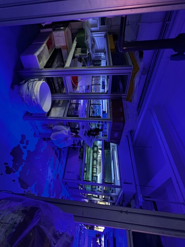 Established Aquatics Business For Sale - Strong Growth Potential