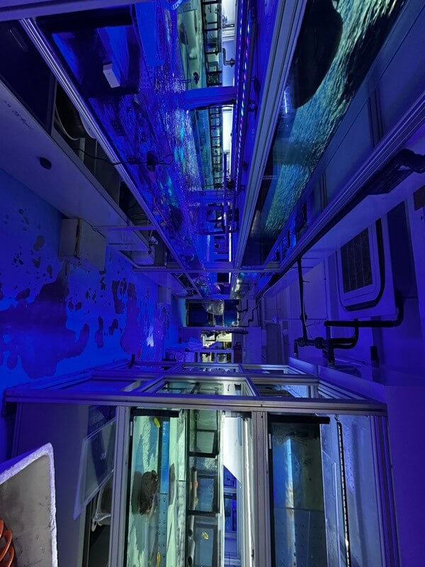 Established Aquatics Business For Sale - Strong Growth Potential