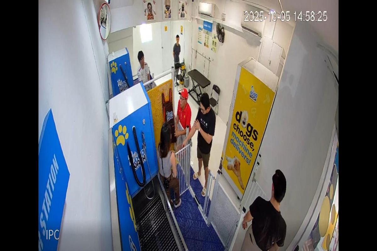 Gogowash - 24/7 Self Service Pet Care Facility