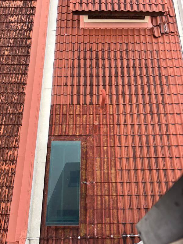 Very Rare Collective Freehold Shophouse In Central Aera For Sale