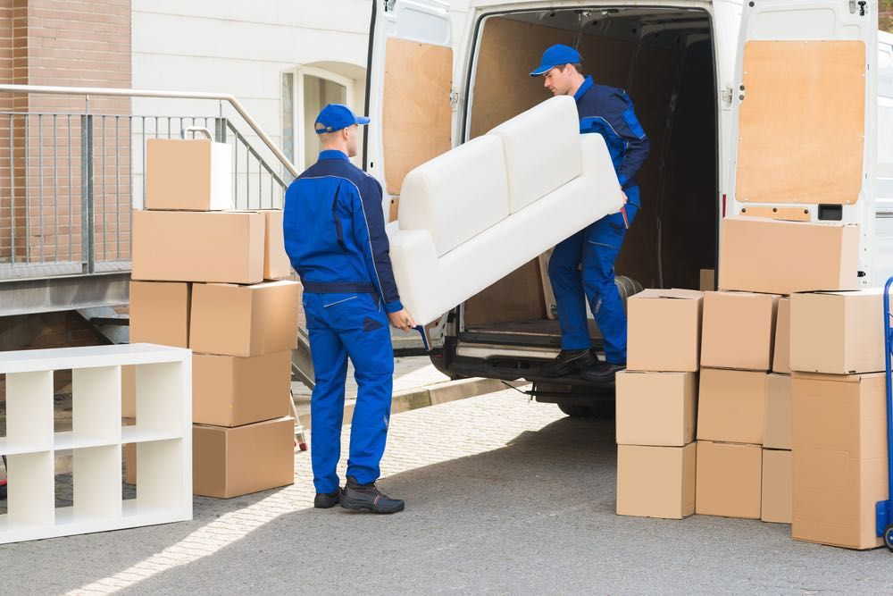 Established Removalist & Transport Business – Strong Earnings | Vendor Support For Transition