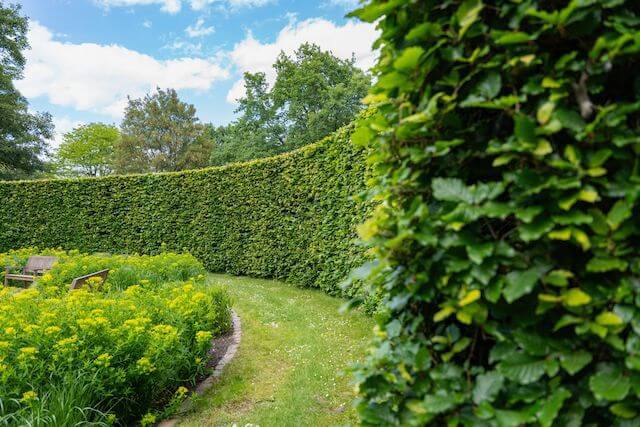 Bayside Territory – Mobile Hedge & Garden Service Business | High Margins