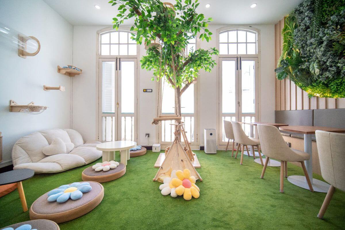 Cat-Friendly Co-Working & Community Space With Growth Potential