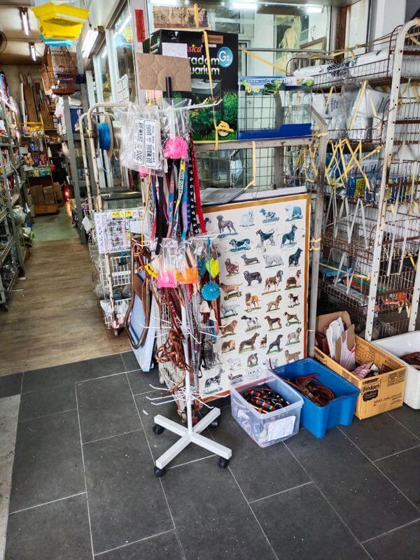 Pet Cum Bird Shop