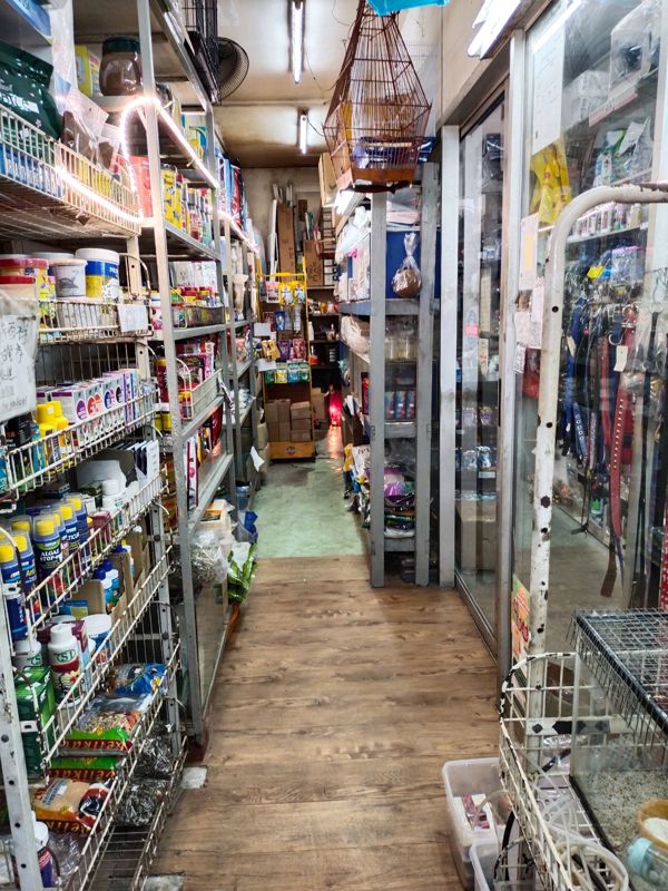 Pet Cum Bird Shop
