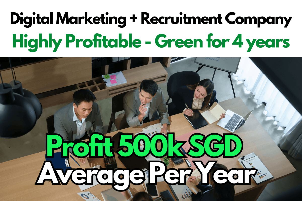 500K Ave Profits Yearly: Digital Marketing + Recruitment Company