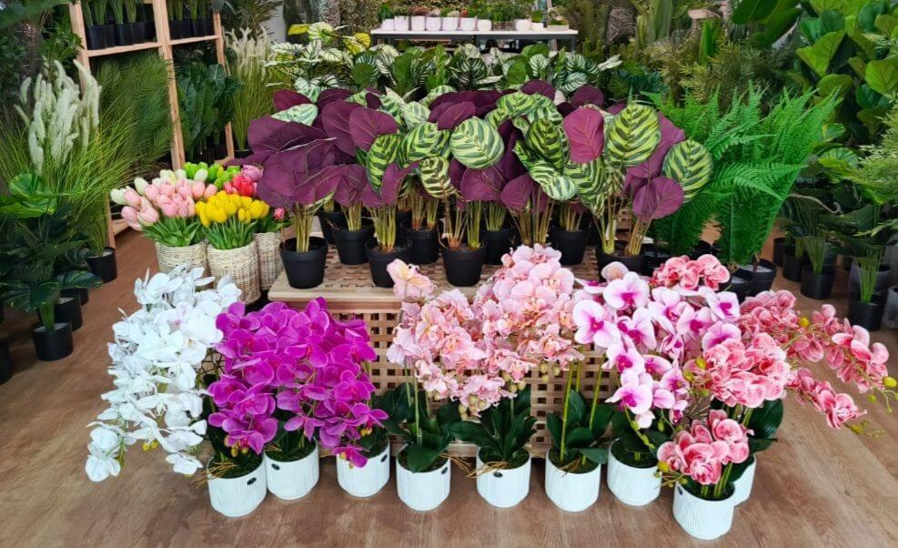Established Florist And Landscaping Business In Central Area For Sale 新加坡市中心成熟花店和园艺业务出售