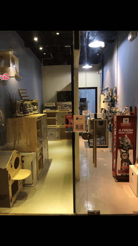 Established Cat Grooming & Boarding Business For Takeover